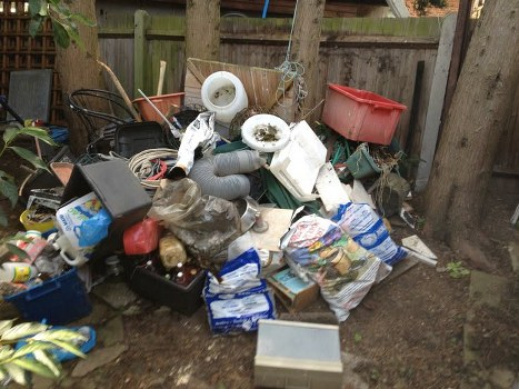 Professional waste management team in Sanderstead